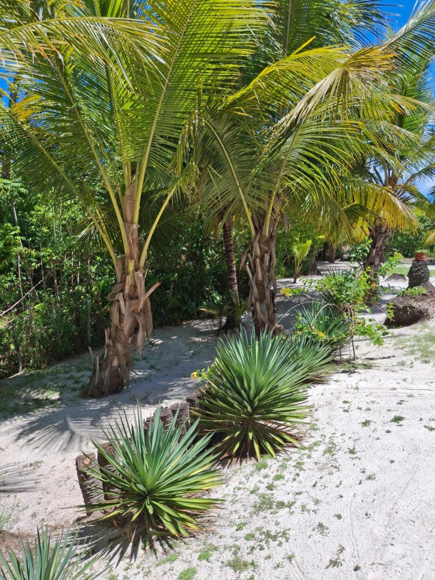 Recanto Verde - Praia De Santo Antonio Diogo Exterior foto